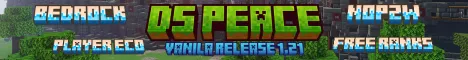 DSPeace banner