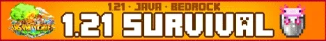 InsanityCraft banner