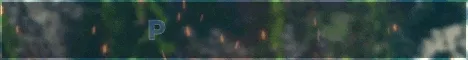 Phoenix SMP banner