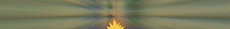 PokeWild banner