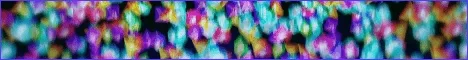 Revision MC banner