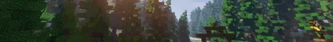 Rokucraft banner