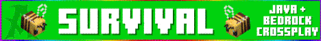 Advancius Network banner